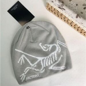 Arc'teryx Gray Beanie Birdhead Toque New